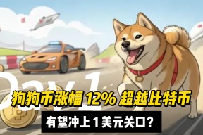 AYX SPORTS-狗狗币冲破478美元关口，大涨阶段是否已经开启？，投资者瞩目的简单介绍