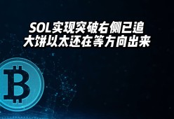 ayx-专家称SOL将在年底冲破13.66美元，引发引发关注