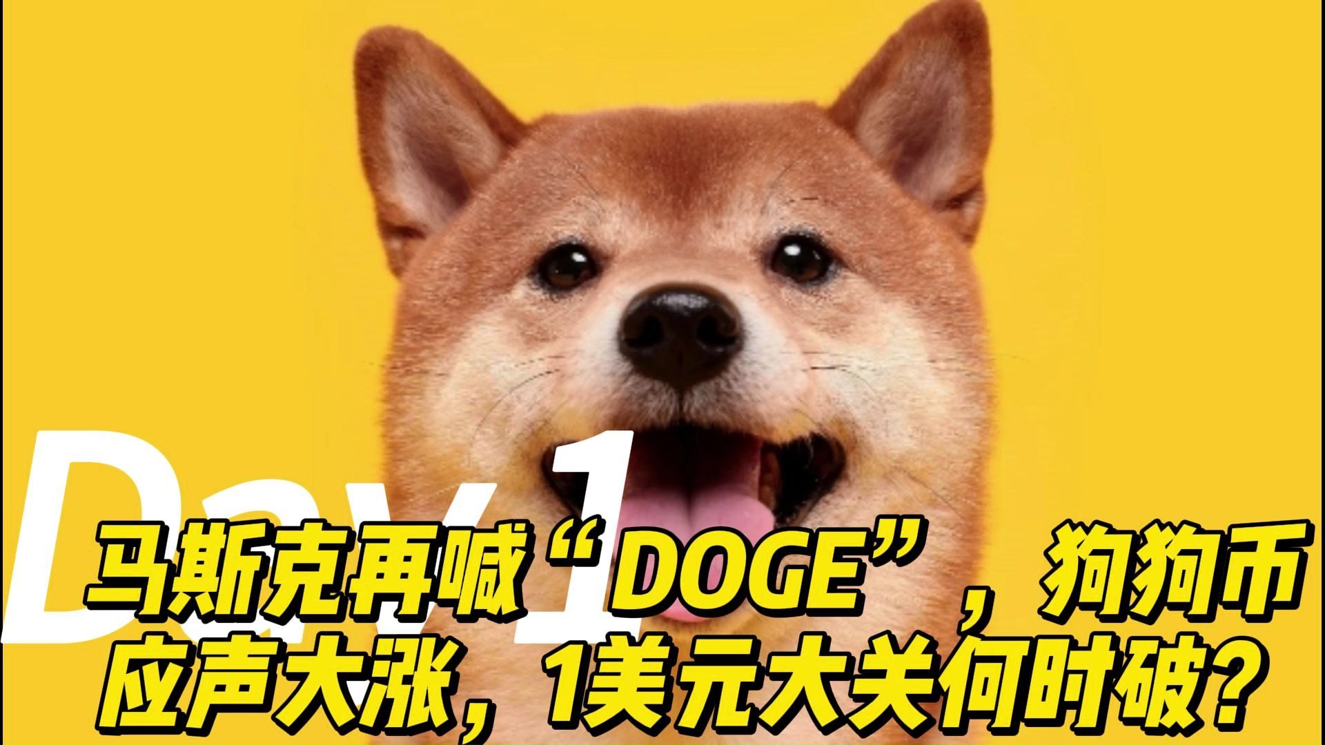 狗狗币突然面临安全漏洞，丢失金额高达207万美元的简单介绍