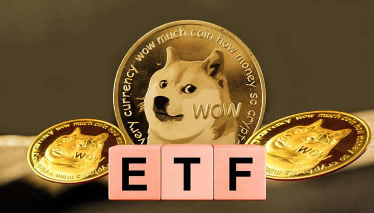 狗狗币突然面临安全漏洞，丢失金额高达207万美元的简单介绍
