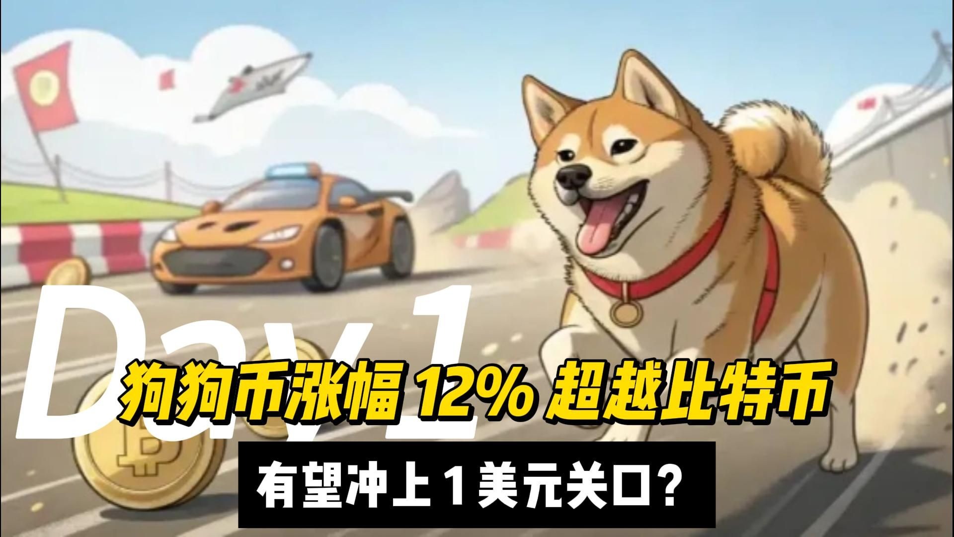 狗狗币冲破478美元关口，大涨阶段是否已经开启？，投资者瞩目的简单介绍